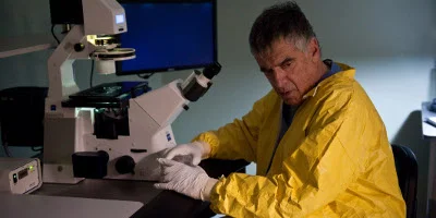 Virus unter dem Mikroskop