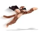 Flying Animals - Flying Monkey Bild 1
