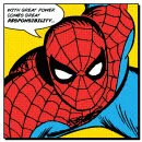 Spider-Man Quote Canvas (40x40) Bild 1
