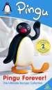 Pingu - Pingu Forever! (The Ultimate Pingu Collection) Bild 1