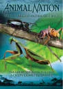 Animal Nation - Worlds Biggest Baddest Bugs Bild 1