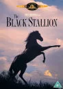 The Black Stallion Bild 1