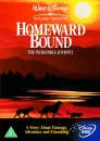 Homeward Bound - The Incredible Journey Bild 1