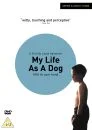 My Life As A Dog Bild 1