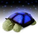 Twilight Turtle Bild 1