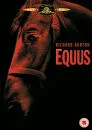 Equus Bild 1