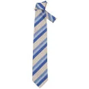 Gianfranco Ferre Men's Designer Silk Tie - Blue Bild 1