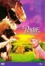 Babe Bild 1
