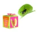 Grow your own Venus Fly Trap Bild 1