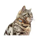 G-Paws Pet GPS Tracker System - Black Bild 1