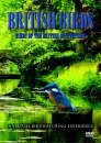 British Birds - Birds Of The British Countryside Bild 1