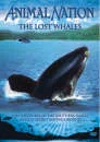 Animal Nation - The Lost Whales Bild 1