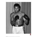Muhammad Ali Kunstdruck - Stance Bild 1