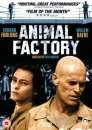 Animal Factory Bild 1