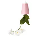 Sky Planter - Deckenpflanze: Auf dem Kopf stehender Blumentopf - Rosa Bild 1