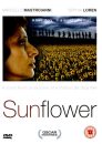Sunflower Bild 1