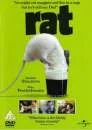 Rat Bild 1