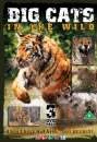 Big Cats 3 DVD Box Set Bild 1