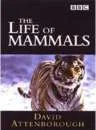 The Life Of Mammals Bild 1