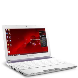 Packard Bell Dot 10.1 Inch SC/Atom Netbook N2600 (1GB RAM 320GB HDD W7S Purple and White) Bild 1