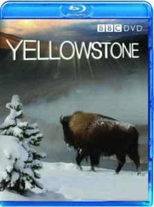 Yellowstone - Tales From The Wild Bild 1