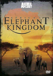 Africa's Elephant Kingdom Bild 1