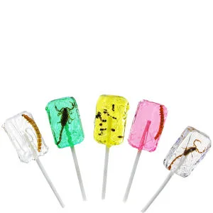 Insekt Lolli (5 Stück) Bild 1
