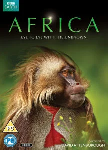 Africa Bild 1