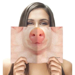 Tiergesicht Notizbuch - Schwein Bild 1
