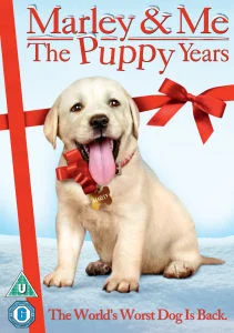 Marley and Me 2: The Puppy Years Bild 1