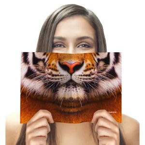 Tiergesicht Notizbuch - Tiger Bild 1