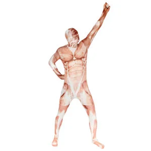 Morphsuits Premium - Muscle - M - Muscle Bild 1