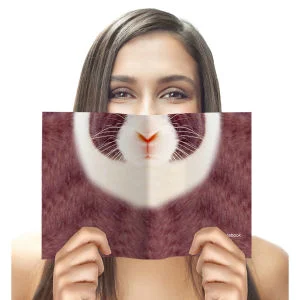 Tiergesicht Notizbuch - Hase Bild 1