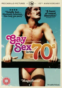 Gay Sex In The 70s Bild 1