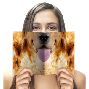 Tiergesicht Notizbuch - Hund Bild 1