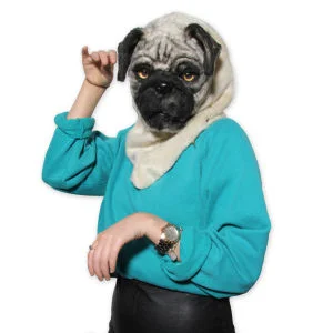 Hunde Maske - Mr. Mops Bild 1