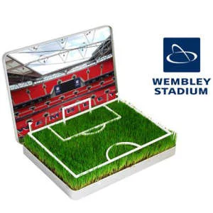 Züchte dir dein eigenes Wembley Mini-Fußballfeld Bild 1