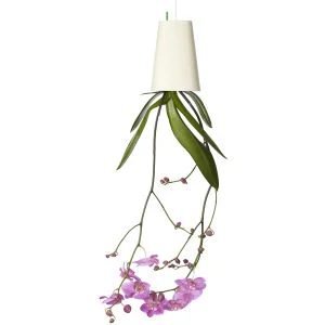 Sky Planter - Deckenpflanze: Auf dem Kopf stehender Blumentopf - Weiß Bild 1