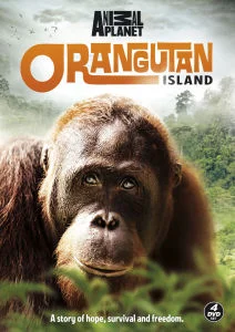 Orangutan Island Bild 1