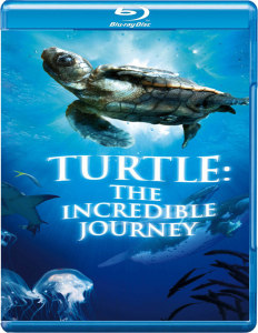Turtle: The Incredible Journey 3D Bild 1