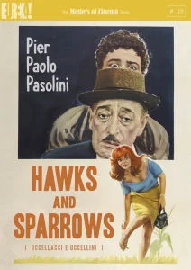 Hawks and Sparrows Bild 1