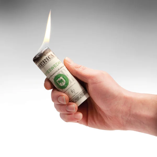 Money to Burn - Dollar Bill Styled Firelighters Bild 1