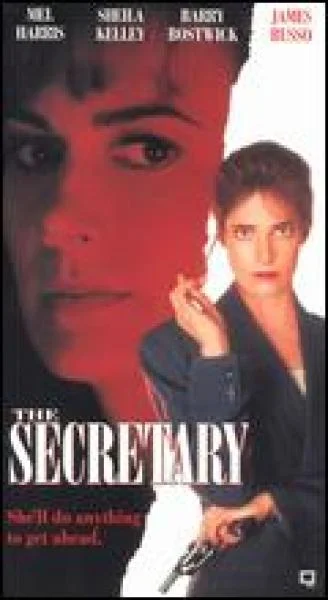 The Secretary Bild 1