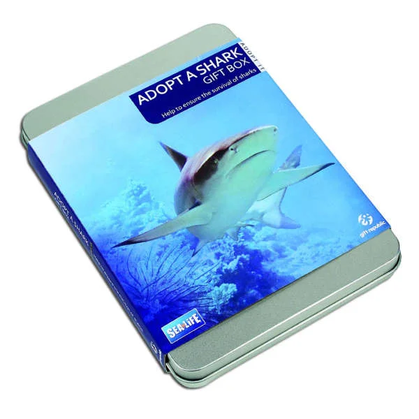 Adoptiere einen Hai Geschenkbox Bild 1