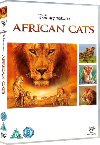 African Cats Bild 1