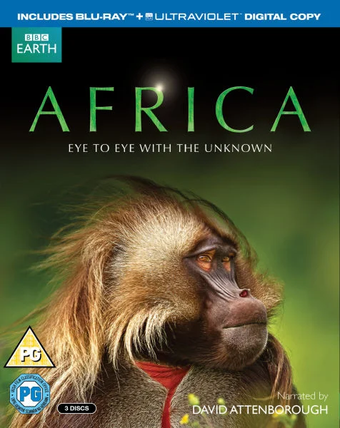 Africa Bild 1