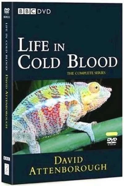 Life In Cold Blood Bild 1