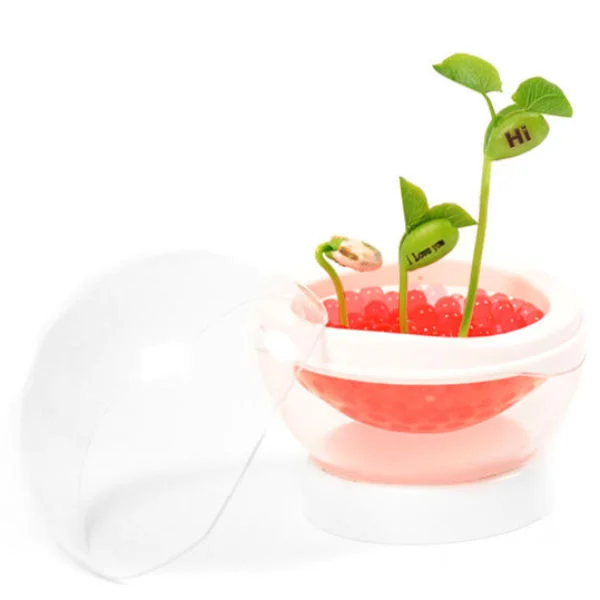 Bohnenstängel Topf Bild 1