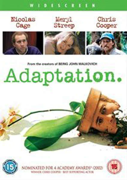 Adaptation Bild 1