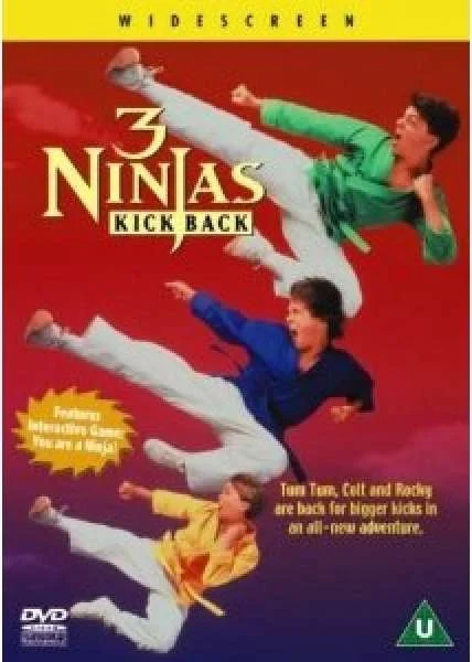 3 Ninjas Kick Back Bild 1